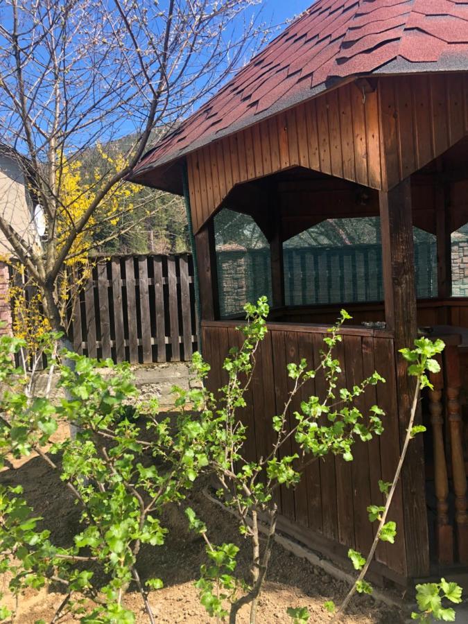 Садиба Диво Квітка Татарив Екстериор снимка